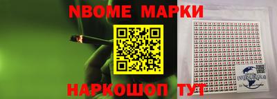 дмт Кингисепп