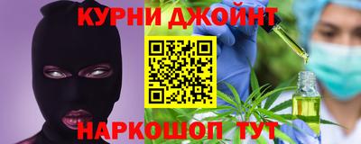 дмт Кингисепп