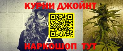 дмт Кингисепп